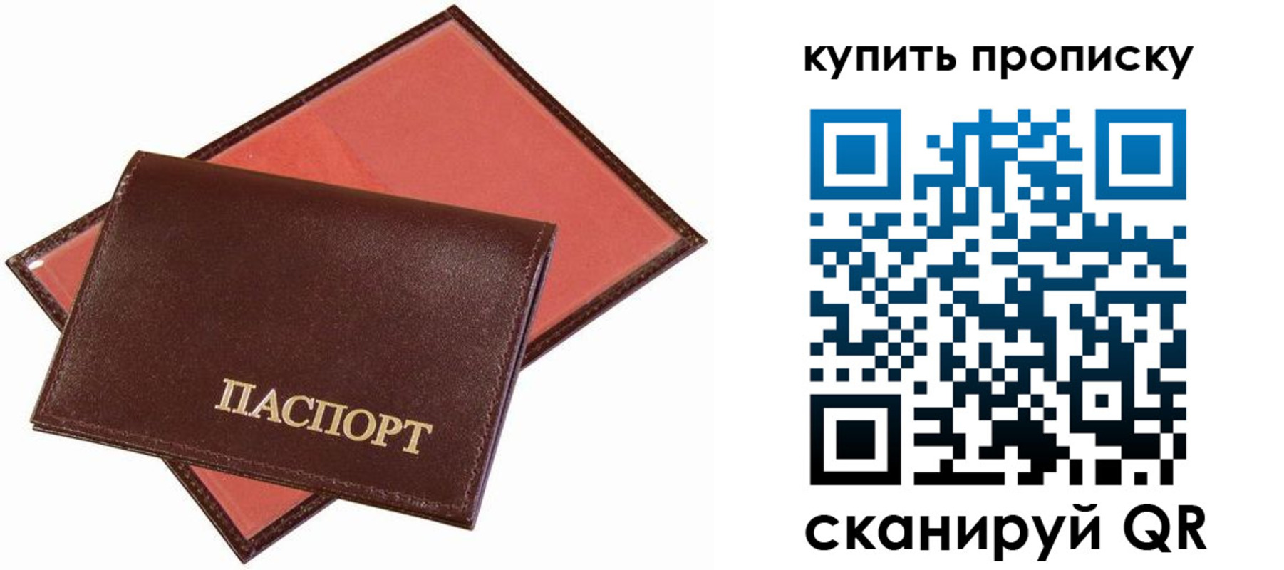 прописка для школы в Северске